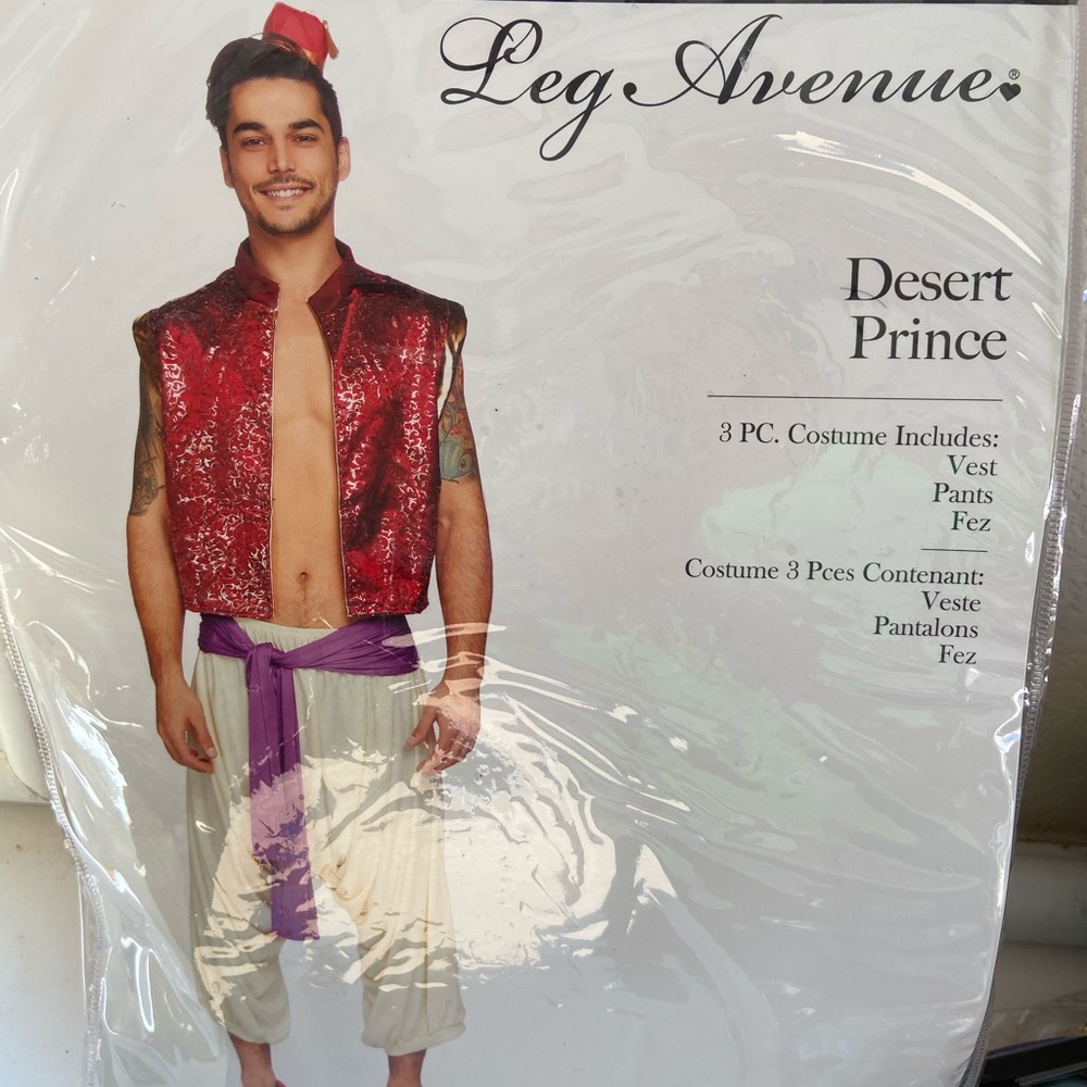 Aladdin/desert prince costume